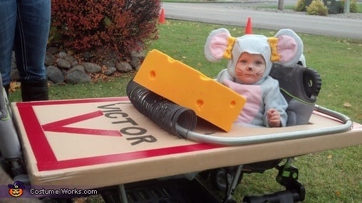 40 Cutest Ideas For Halloween Costumes For Babies