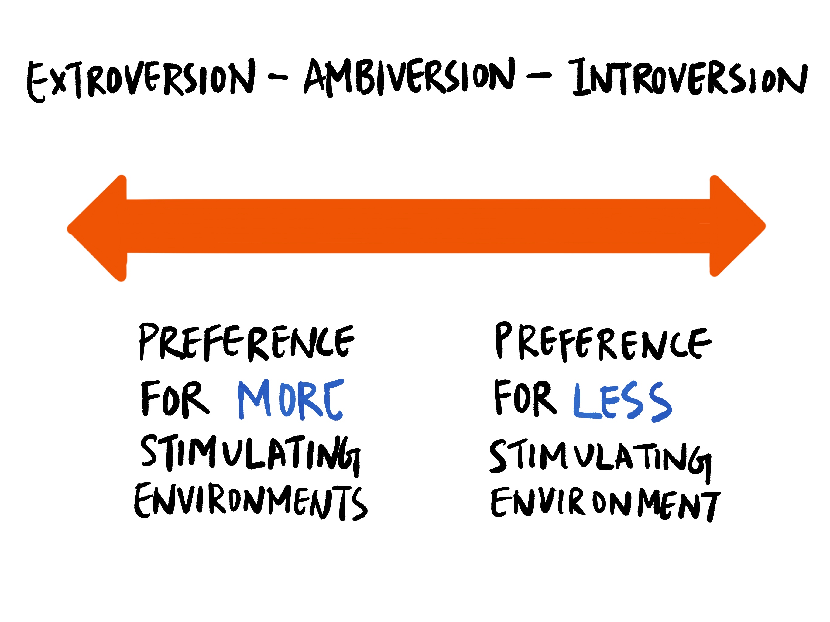 Introvert or Extrovert? Things You Don't Know About Them