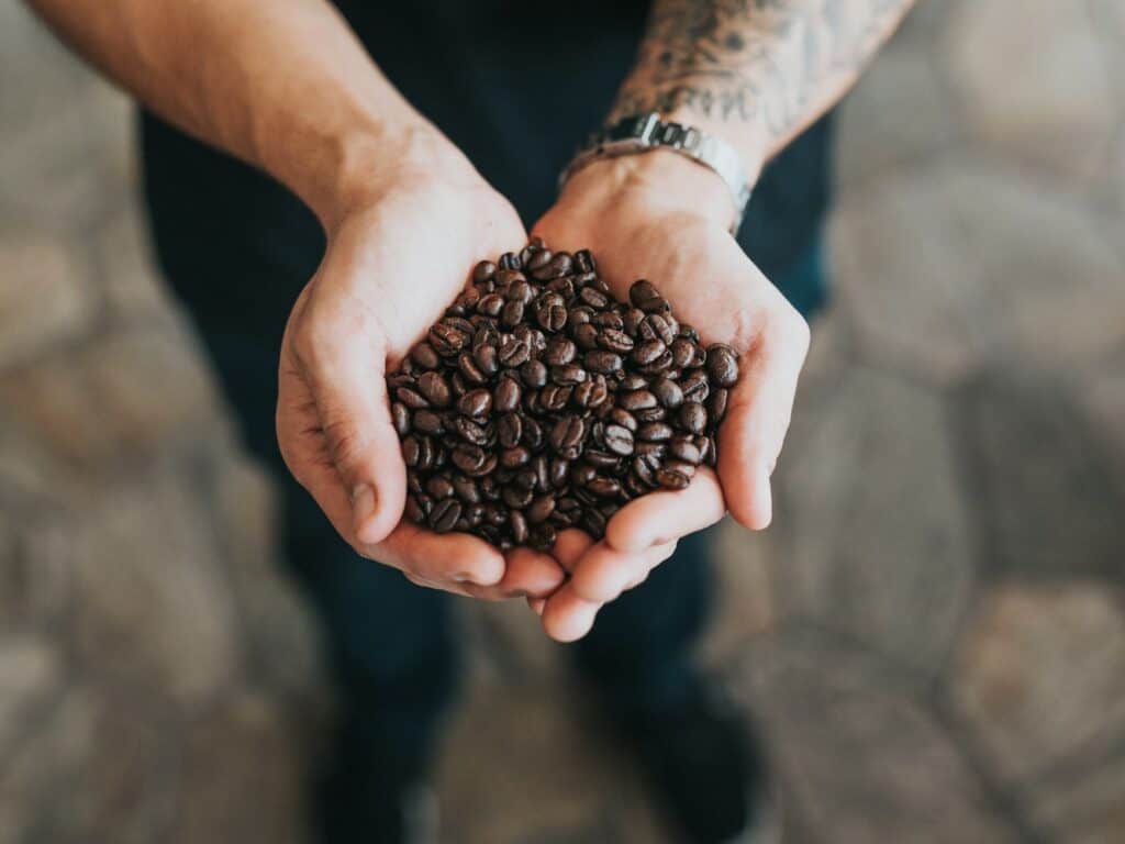 10 Best Coffee Beans That Will Energize You Every Morning Lifehack