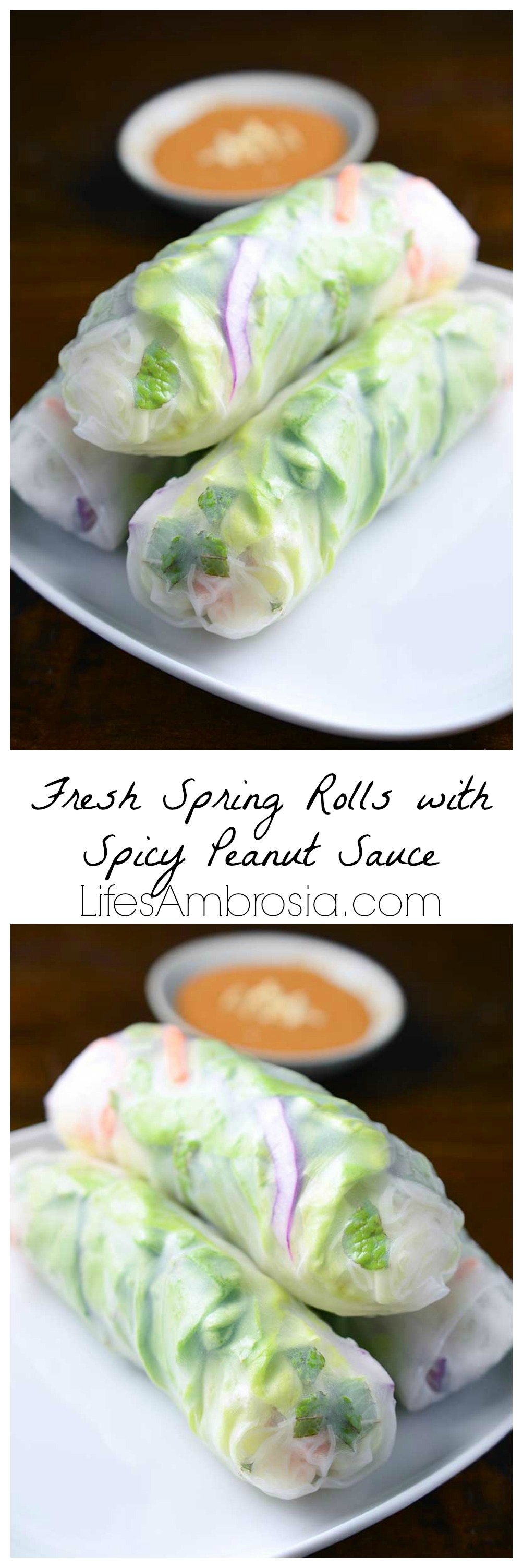 Fresh Spring Rolls with Spicy Peanut Sauce Life's Ambrosia