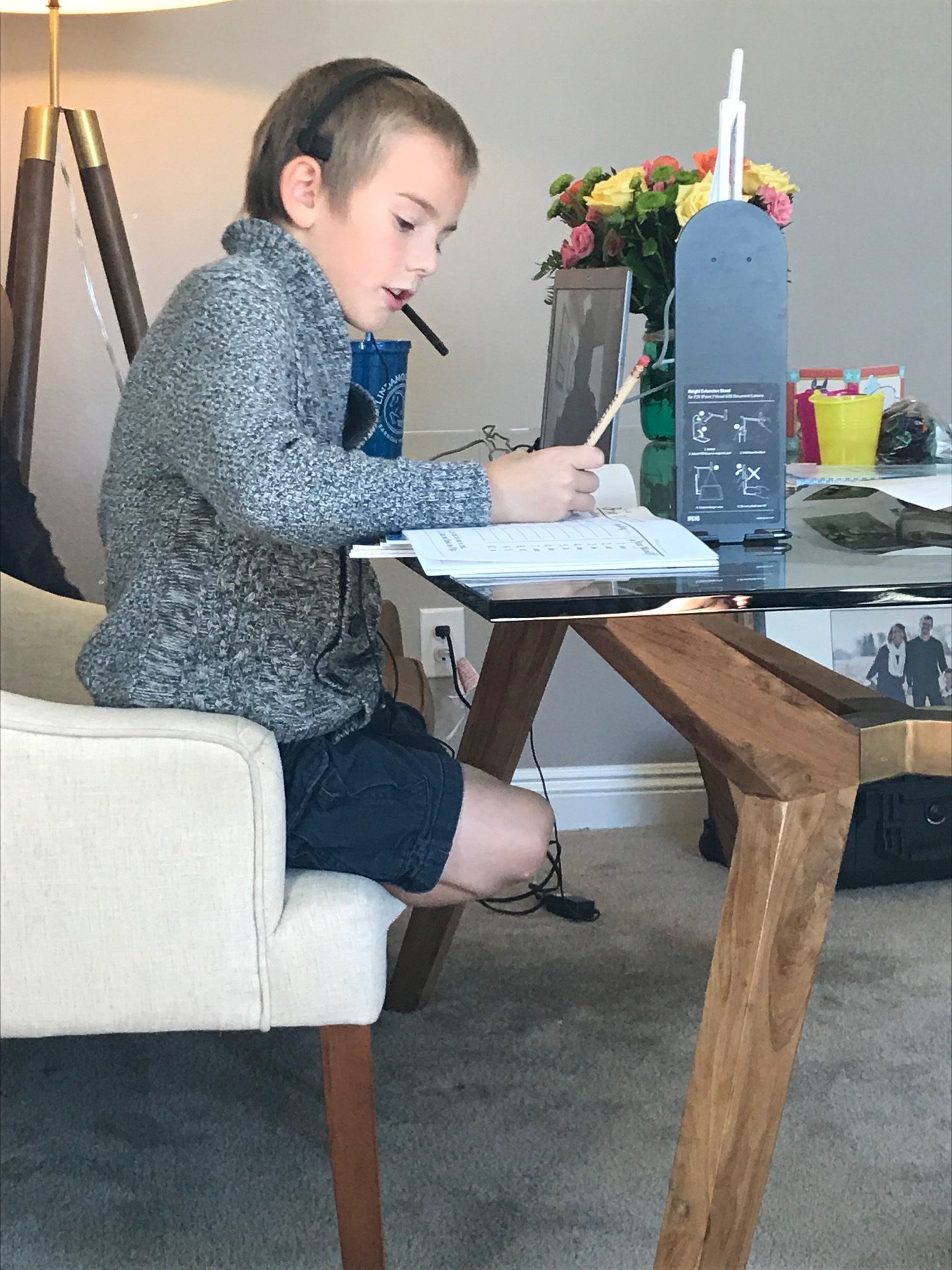 LindamoodBell Online Instruction Flexible and Interactive