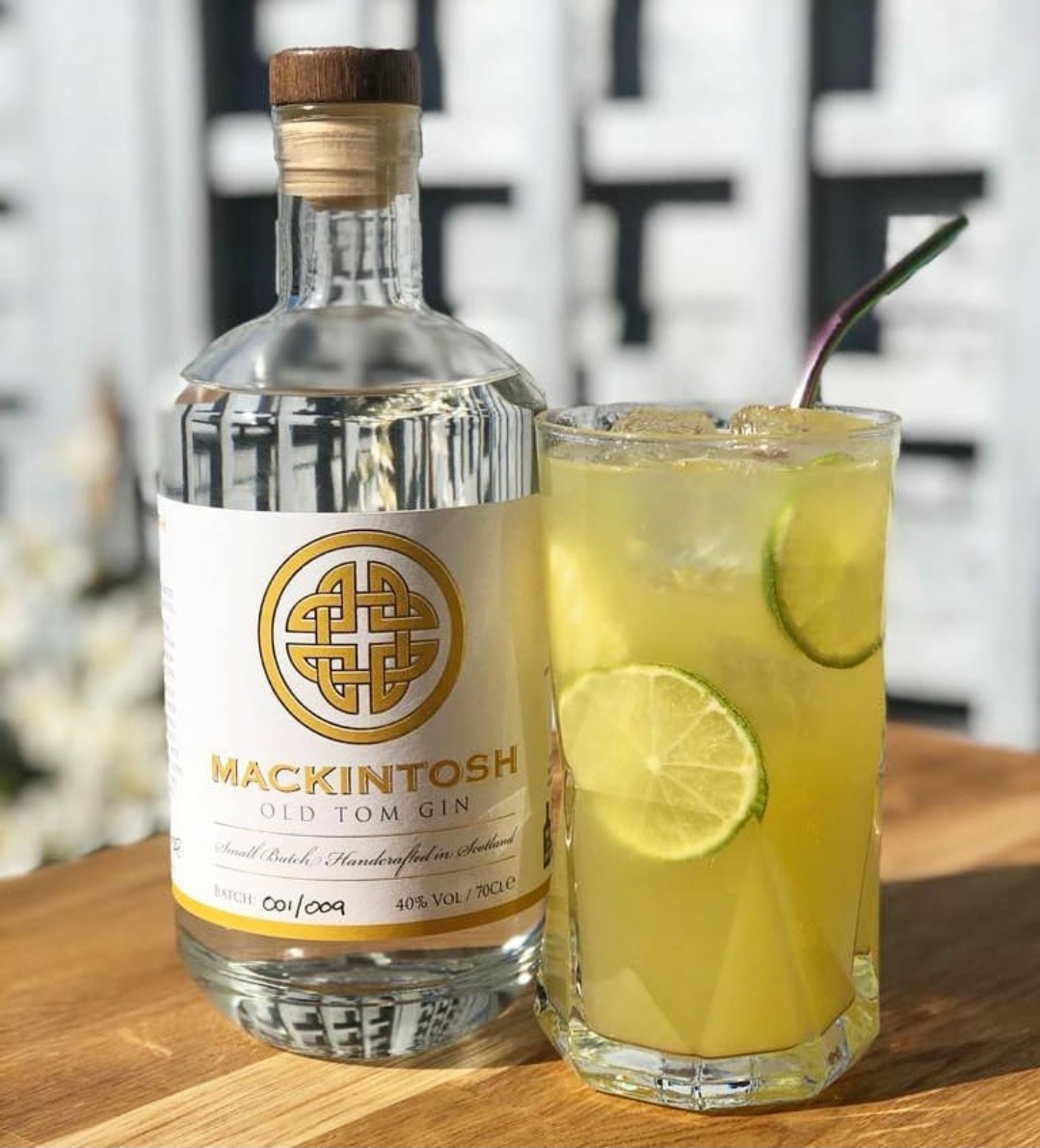 Why Gin And Tonic Is The Perfect Woman’s Drink Lipo Lounge