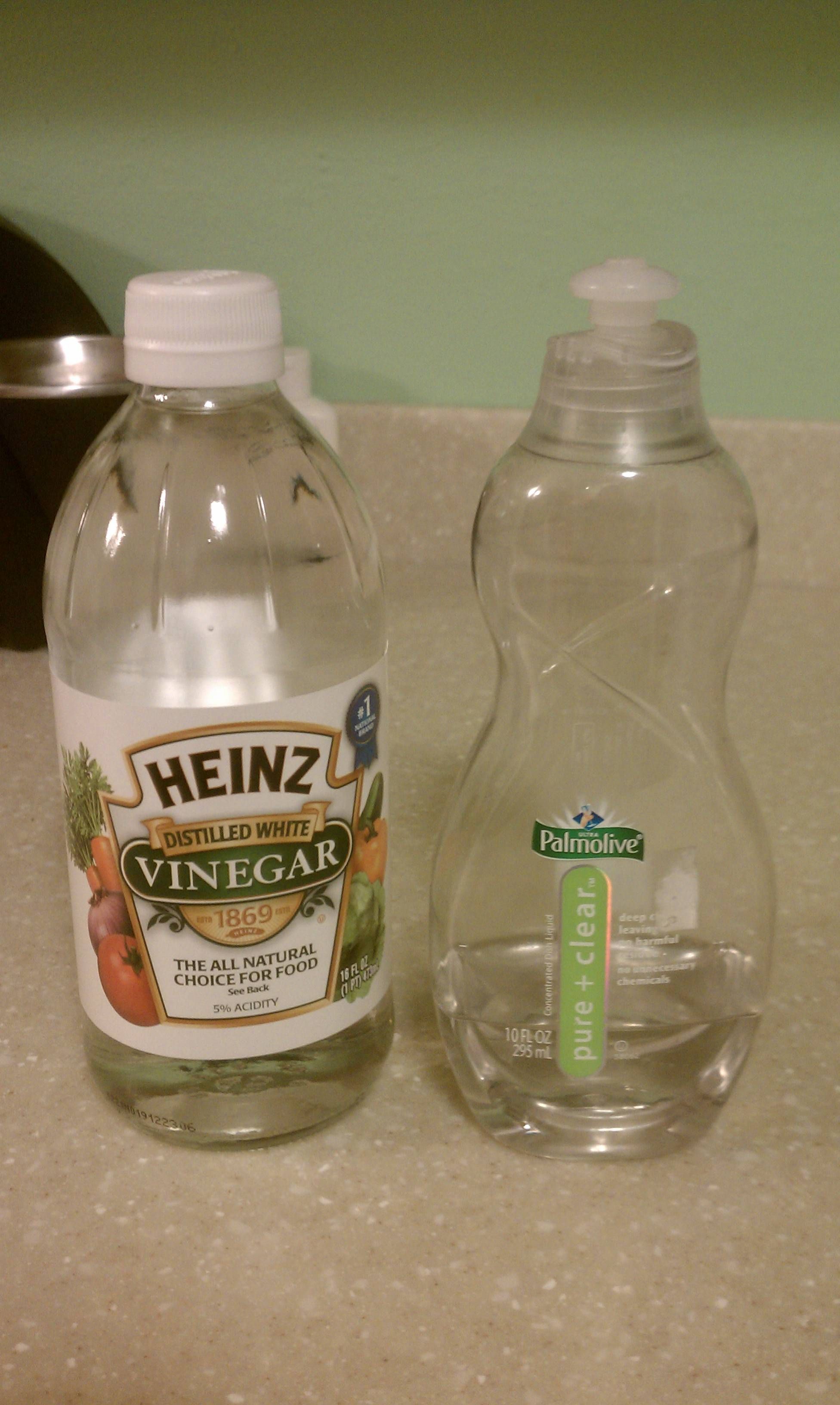 Gnats And Rice Wine Vinegar What You Need To Know Lipo Lounge