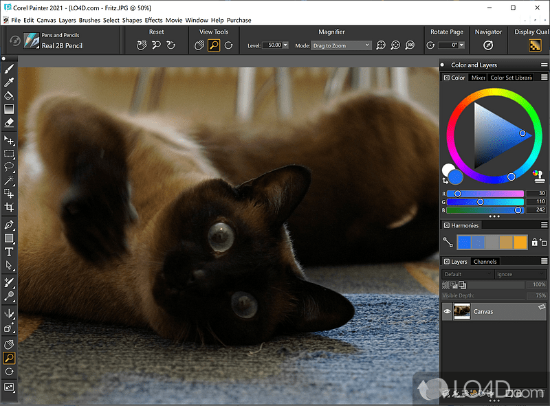 Corel Painter Screenshots