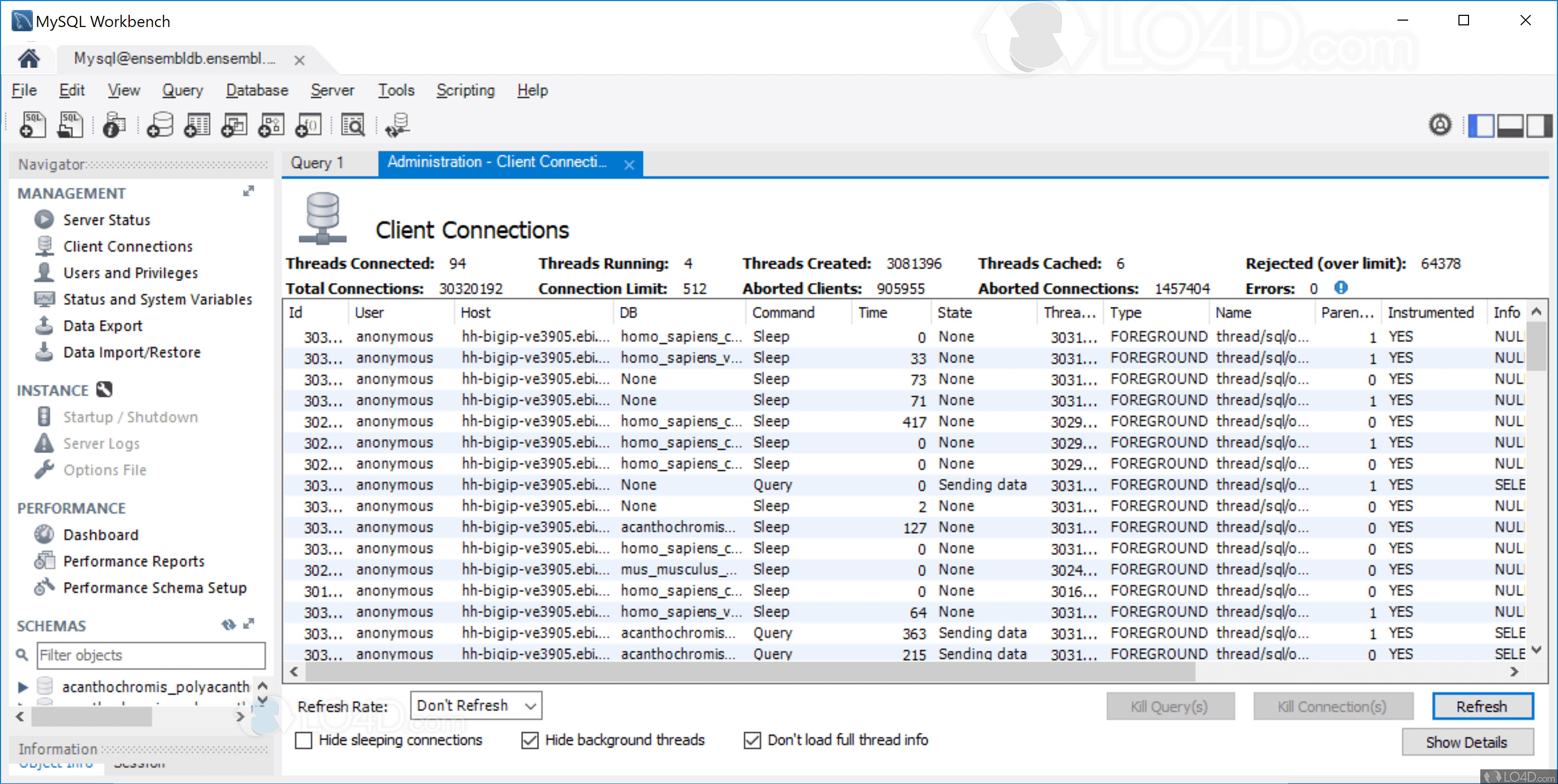 MySQL Workbench Download