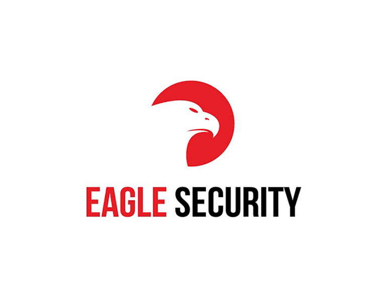 Logo Design For Security Company