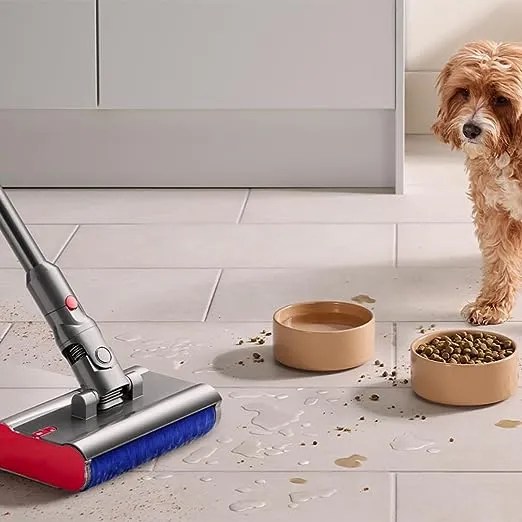 Buy Dyson Vacuum Cleaner V12S Detect Slim wet and dry vacuum cleaner