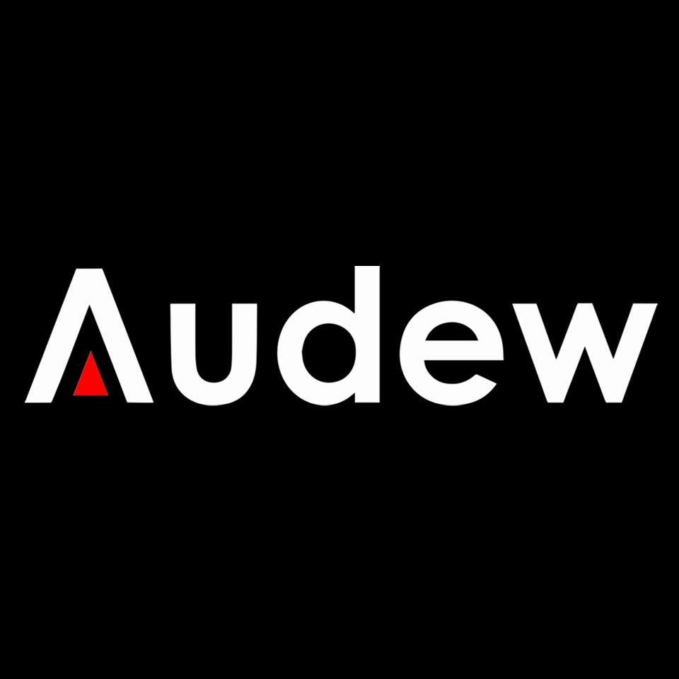 40 Off Audew Coupons June 2024