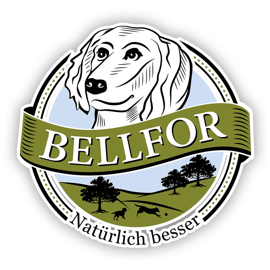 Discount Code September 2023