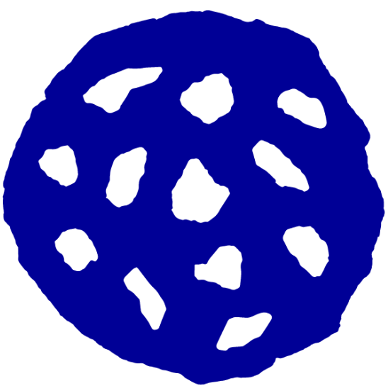 Levain Bakery Coupons January 2024