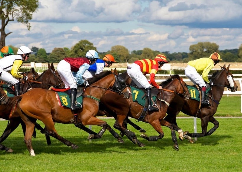 Stud, Progency Fees and Sales The Most Expensive Horses Ever