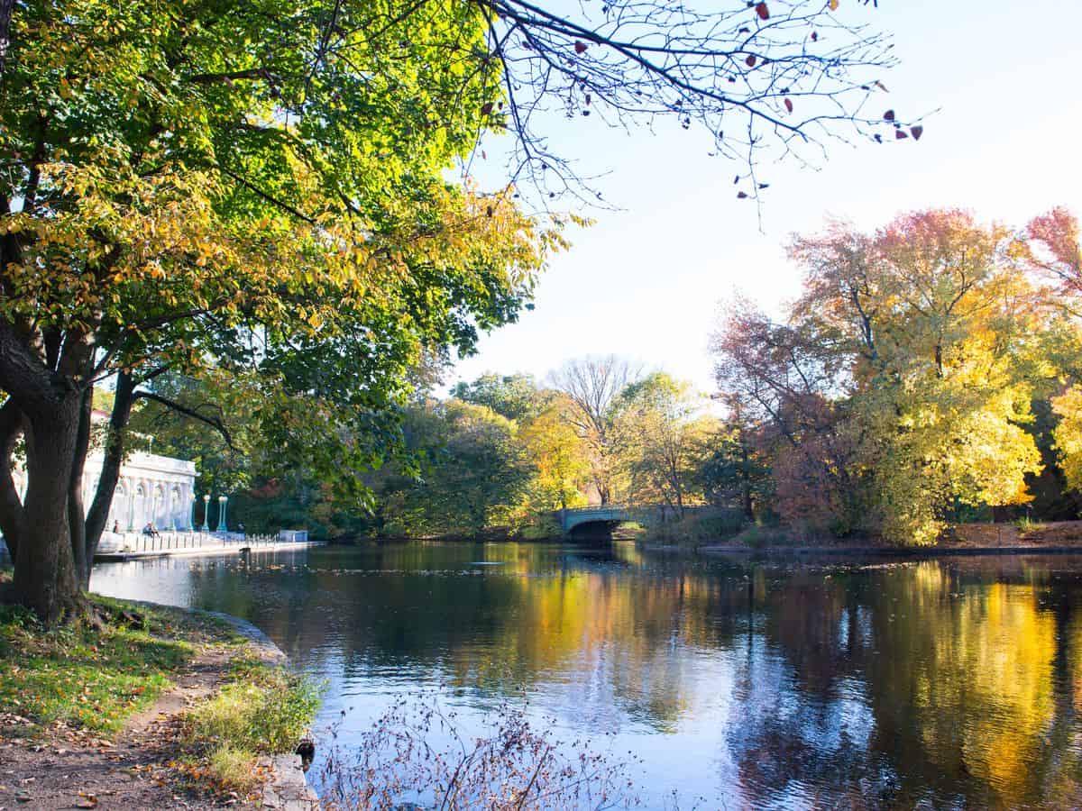 Ranking the 10 Most Beautiful New York Parks for You LaptrinhX / News