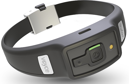 CES 2014 Voyce is a HealthTracking Smart Collar for Dogs Mac Rumors