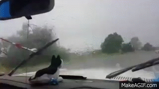 Man Figures Out GENIUS Way to Fix Broken Windshield Wipers