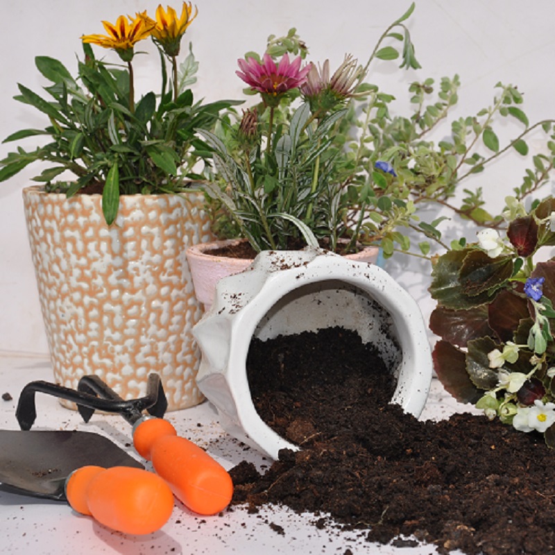 Coco Peat Make My Garden