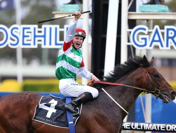 Proof that whip use in horse racing DOES hurt horses.