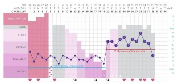 Does Symptothermal Method work? Six women share their experience.