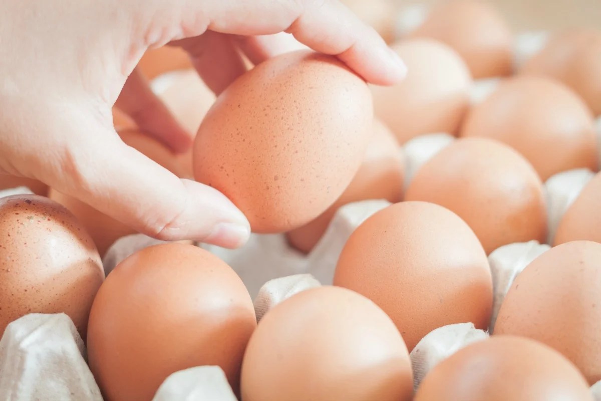 Egg recall 2019 The brand of eggs that has salmonella.