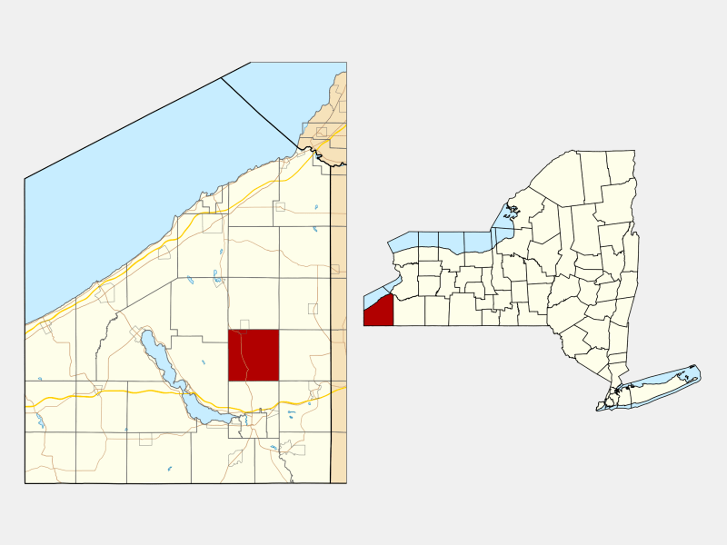 Gerry, NY Geographic Facts & Maps