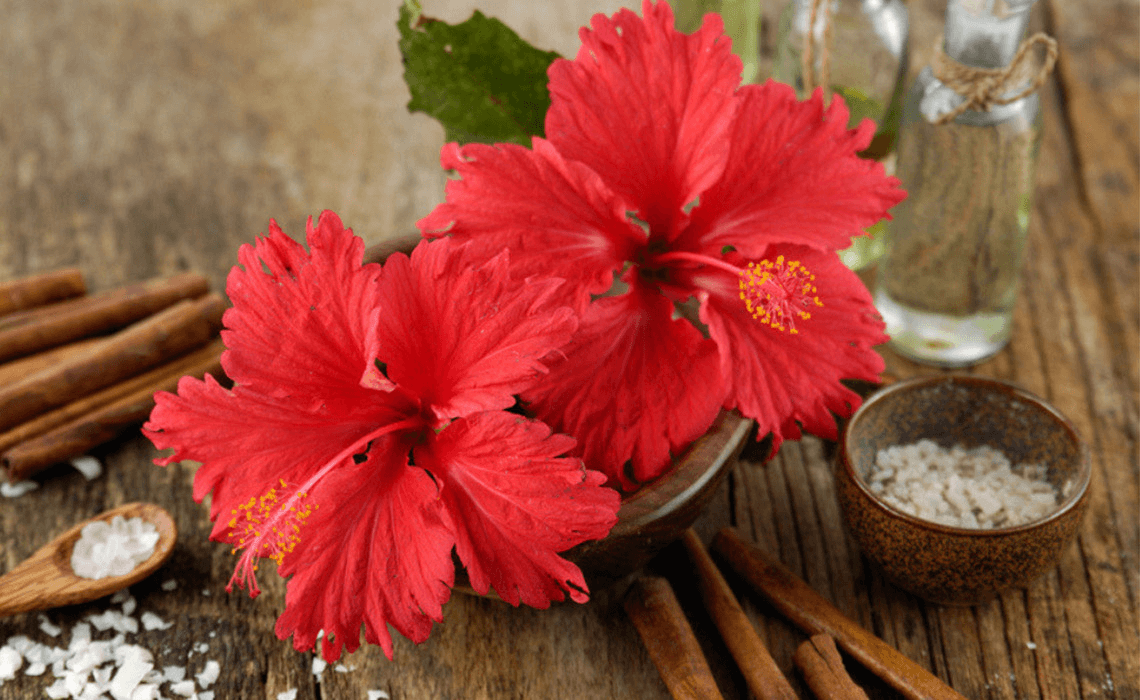 Aggregate more than 83 hibiscus flower for hair best in.eteachers