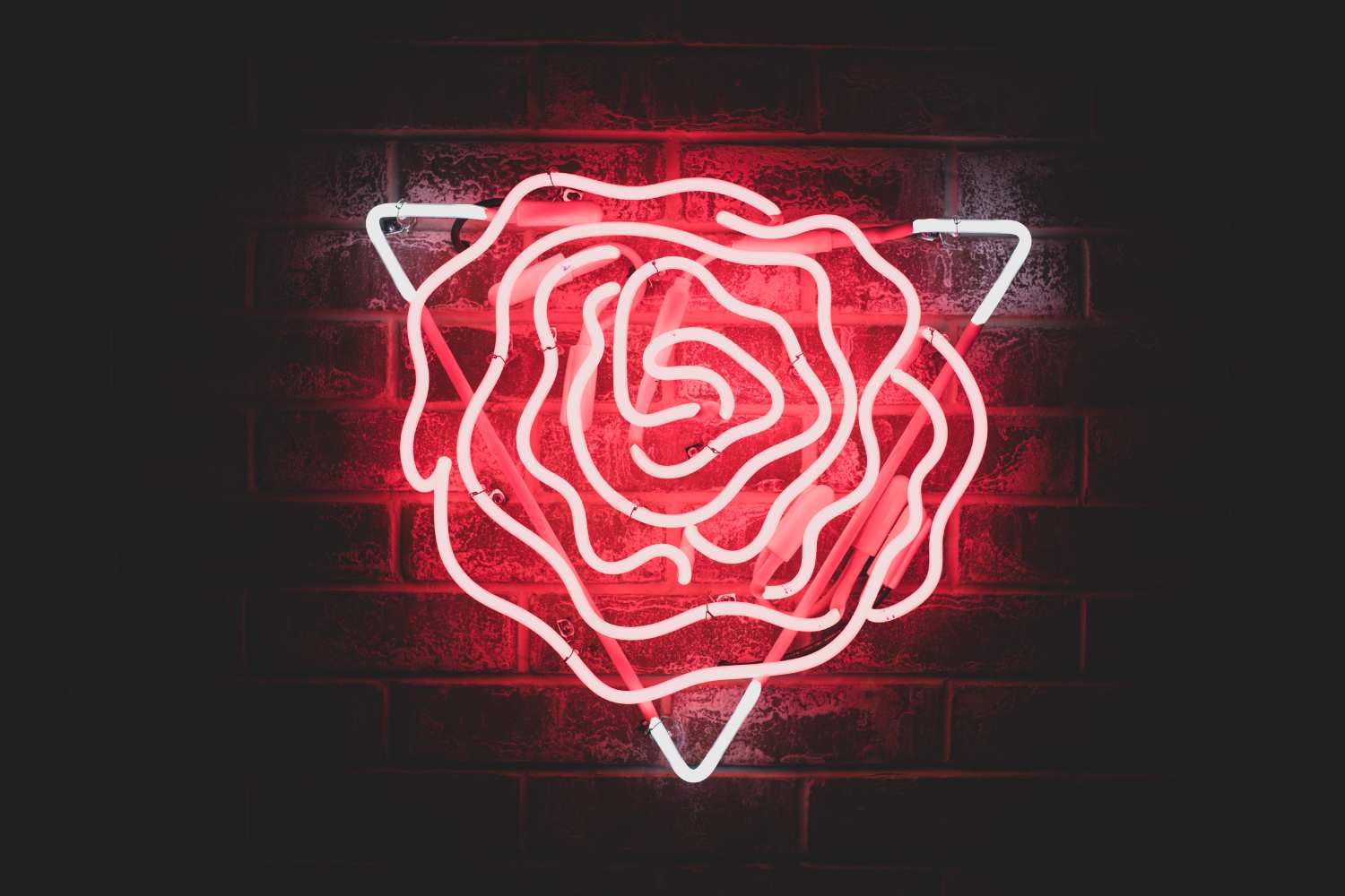 Photos of Mayflower Hotel Official Photo Gallery Mayflower Hotel