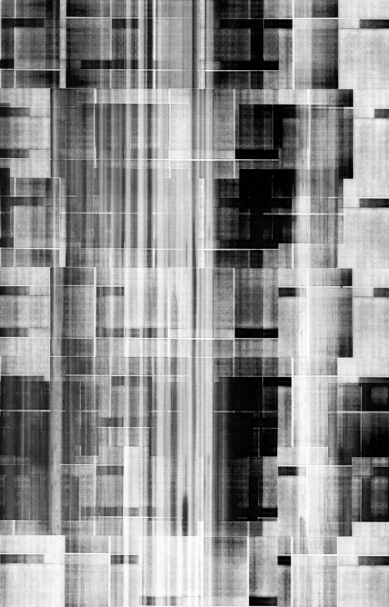 Xerography Martin Grasser