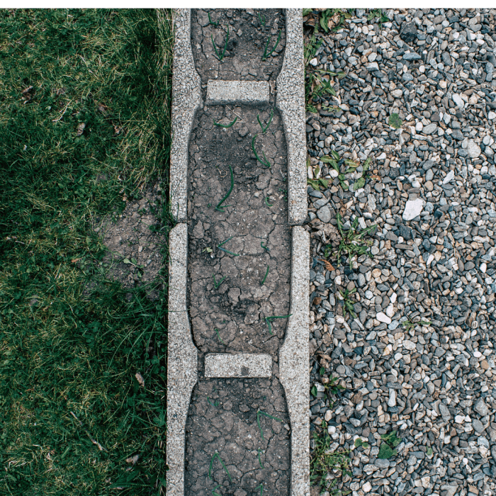 Is Dog Urine Harmful To Breathe