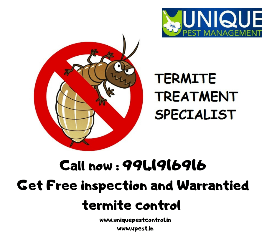 How Long Does Fipronil Last Against Termites? Exploring Its Efficacy