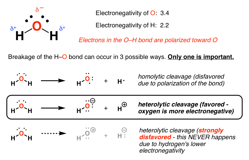From Gen Chem to Org Chem, Pt. 9 Acids and Bases Master Organic