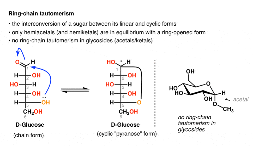 Sugar and Carbohydrate Chemistry Definitions 29 Key Terms To Know