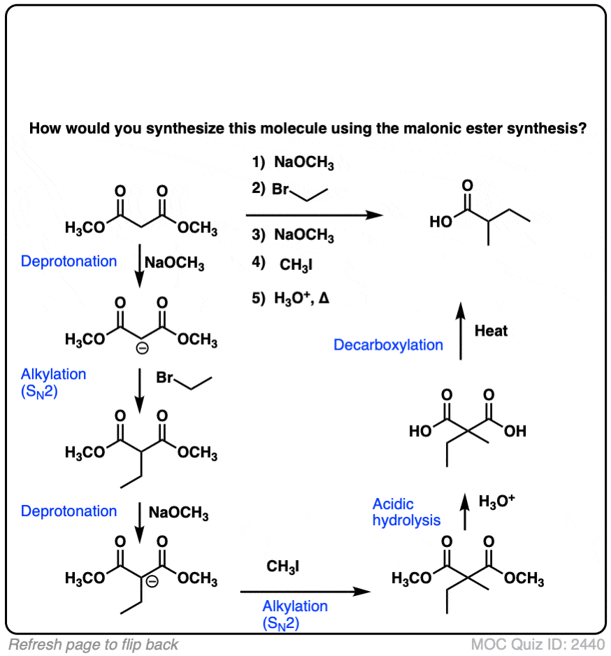 The Malonic Ester and Acetoacetic Ester Synthesis Master Organic