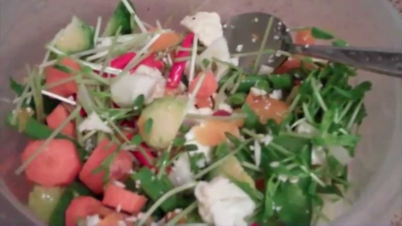 The Best Diet For Your FiveMonthOld Eclectus Parrot Master Parrot