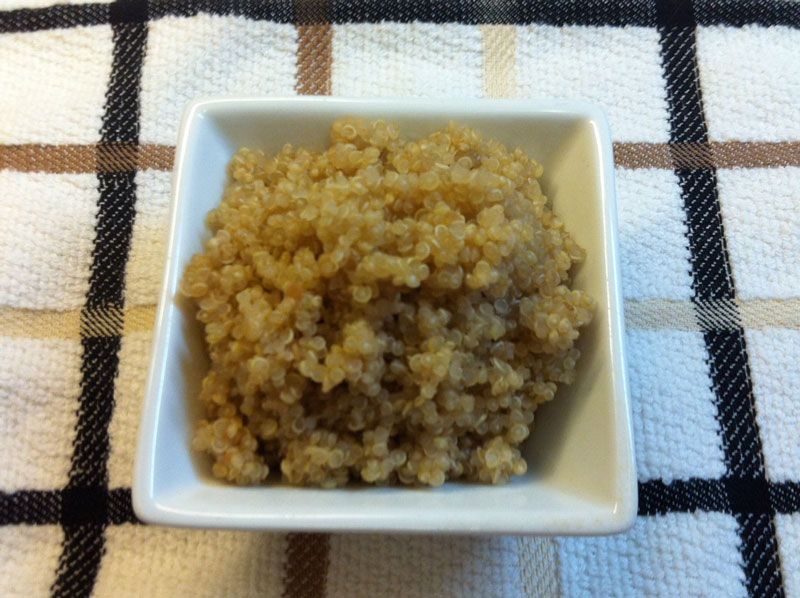 Can Parakeets Eat Quinoa Master Parrot