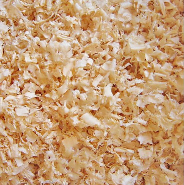 Are Pine Shavings Safe For Parakeets? Master Parrot