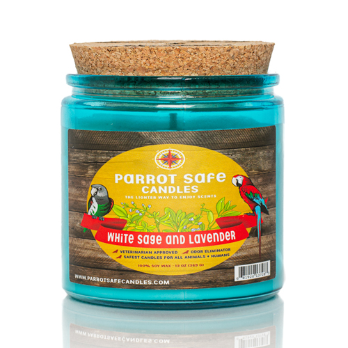 The Benefits Of Sage Master Parrot