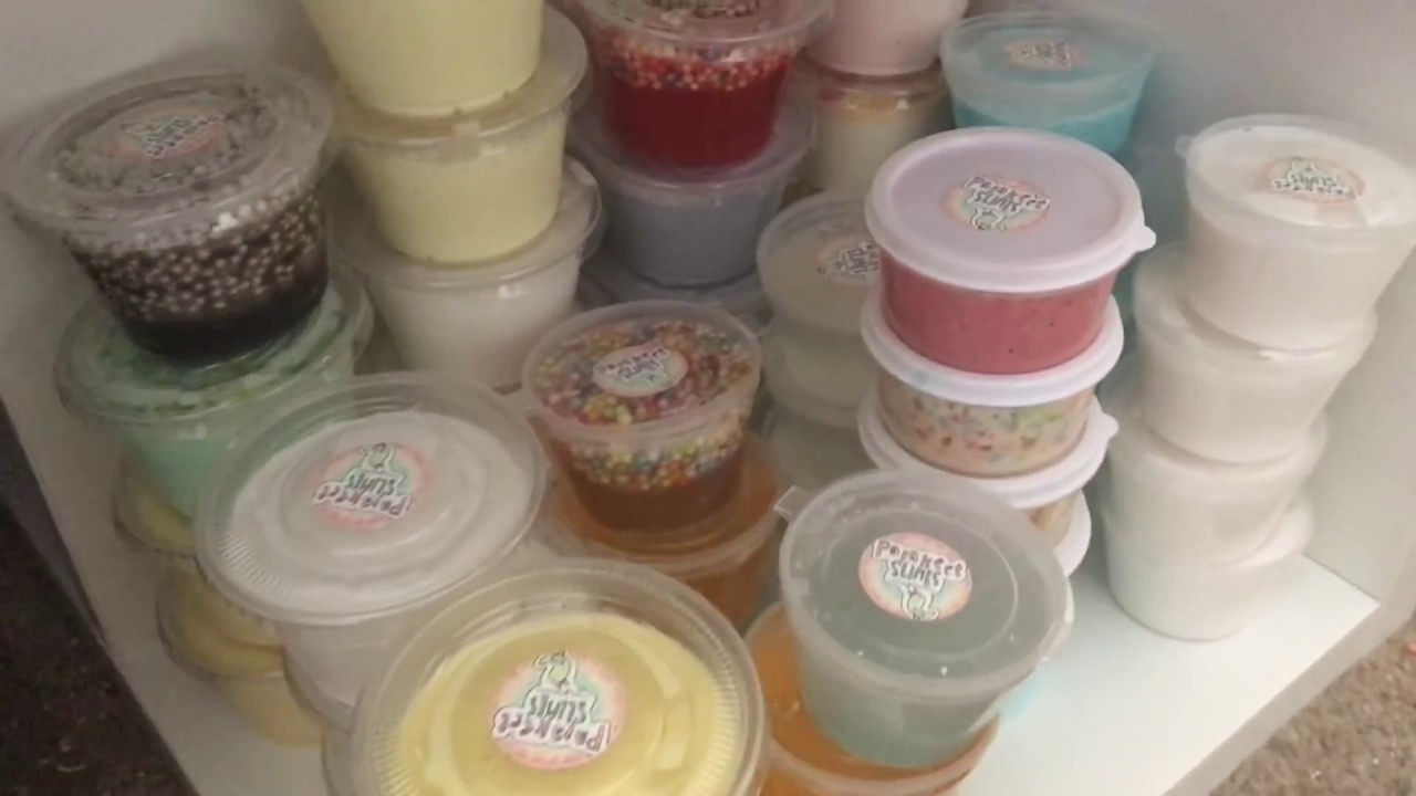 How To Buy Parakeet Slimes Master Parrot