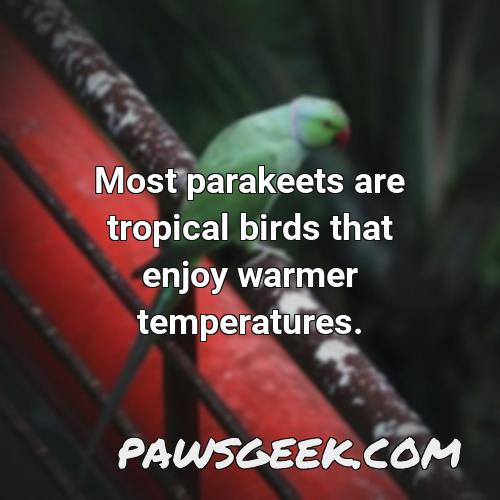Different Types Of Parakeets Master Parrot