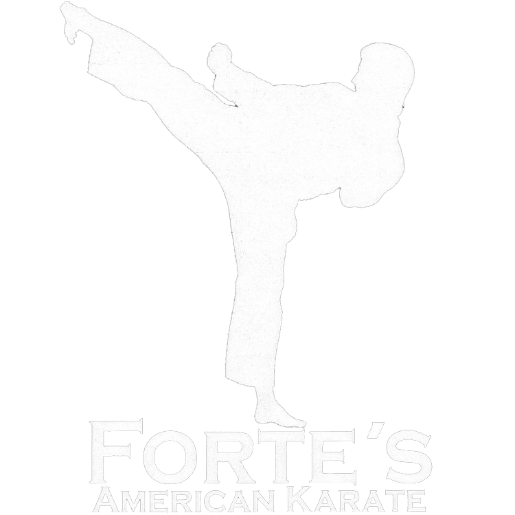 MAT Action Forte's American Karate