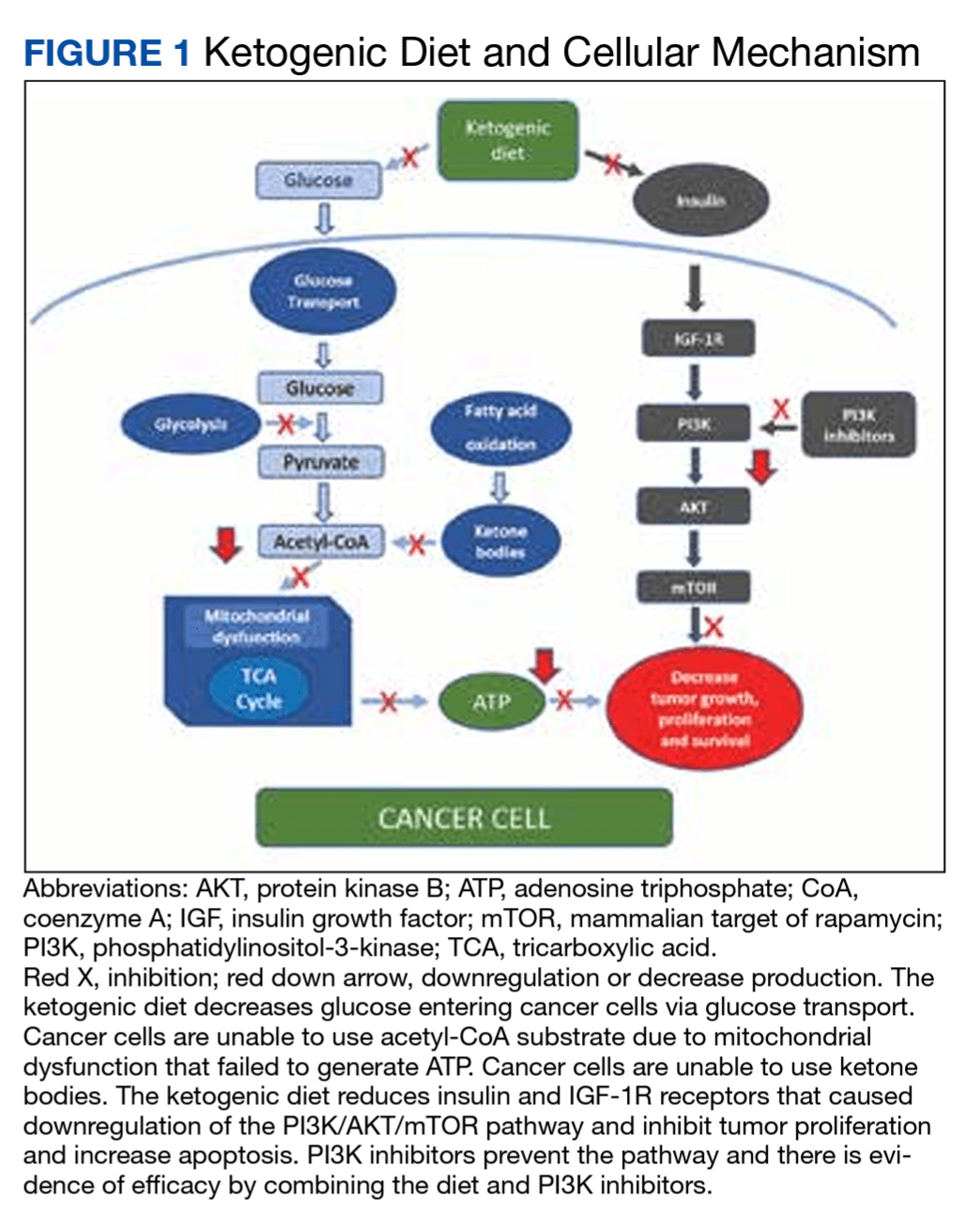 What We Have Learned About Combining a Ketogenic Diet and