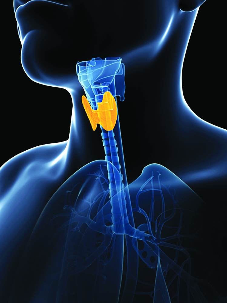 COVID19 Defer ‘bread and butter’ procedure for thyroid nodules