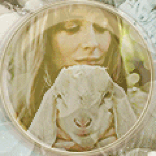 (@dakotajohnson) no Meadd: “┎━━━━━━━━━━━━━━━━━━━━━━━━━━━━━━━━╮ ╰━━⊰