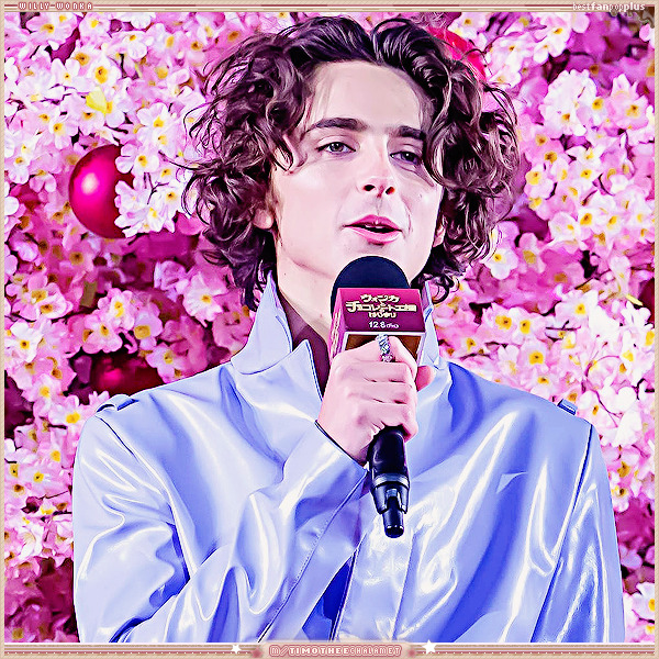 Timotheechalamet No Meadd