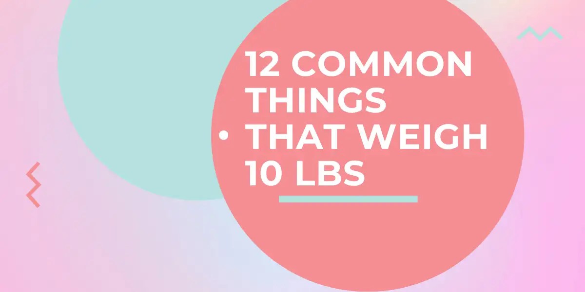 12 Common things that weigh 10 pounds