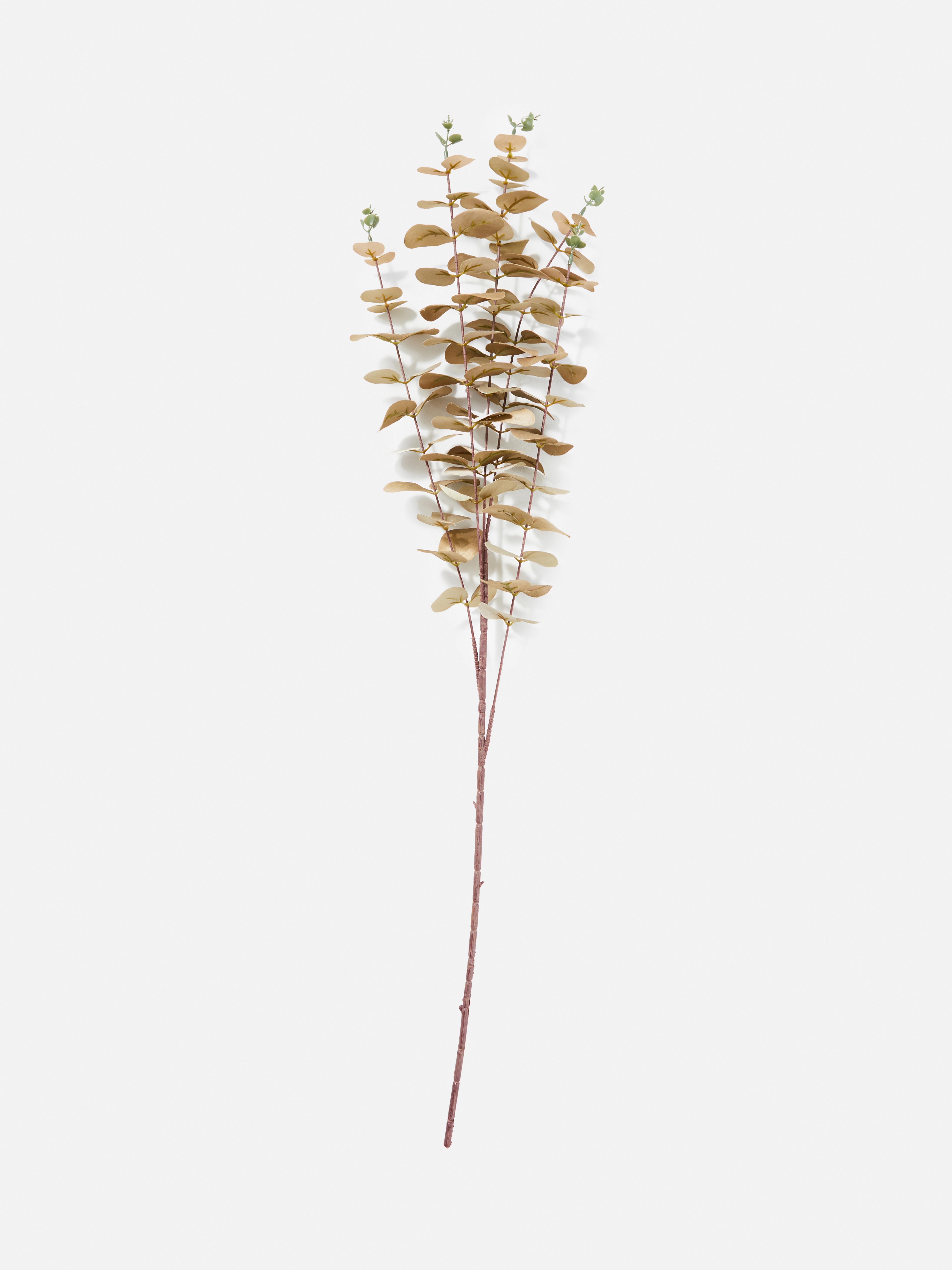 Indoor & Outdoor Artificial Flowers & Plants Primark