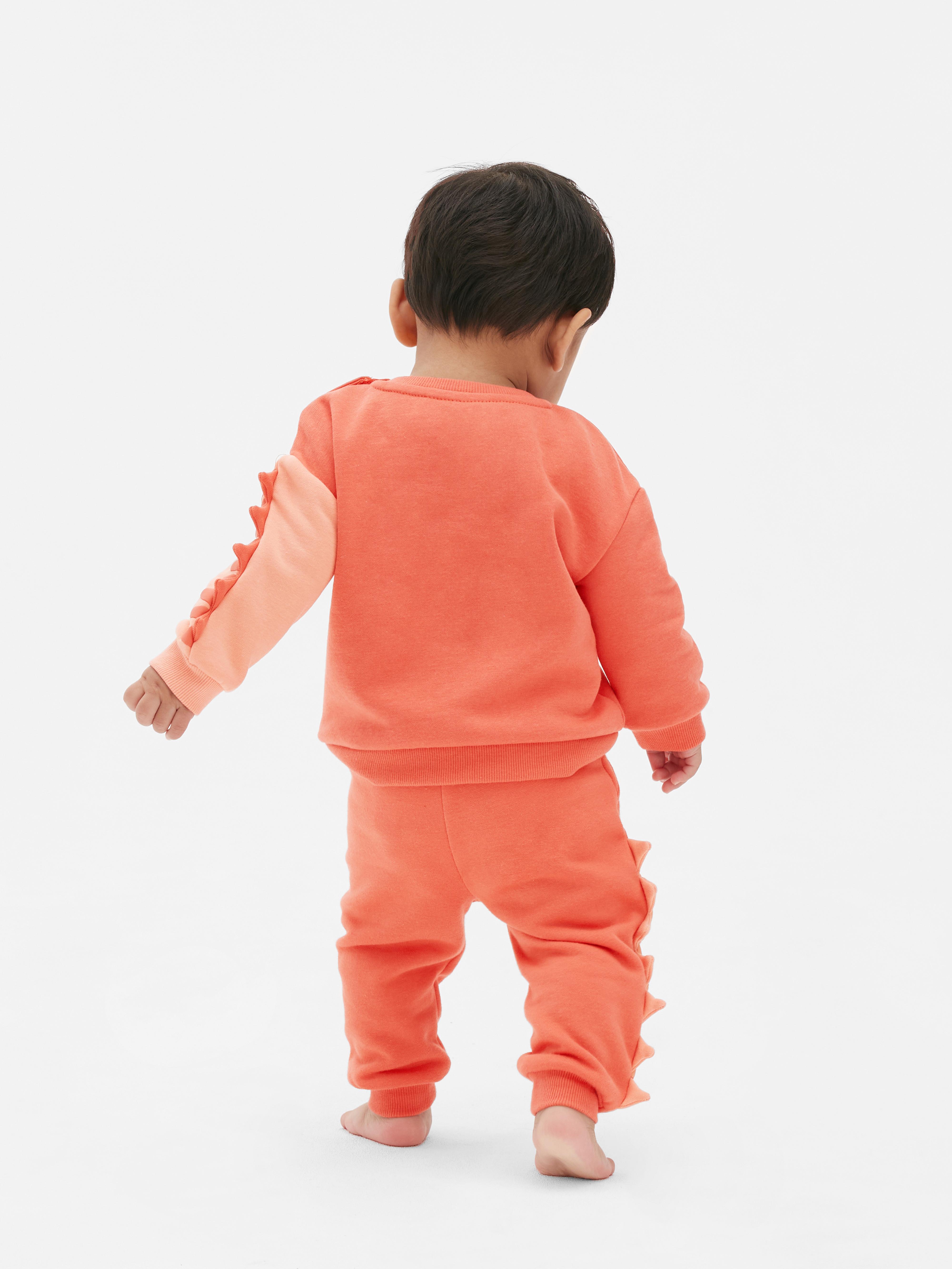 Baby Boys Multi Dinosaur Sweatshirt and Joggers Coord Set Primark