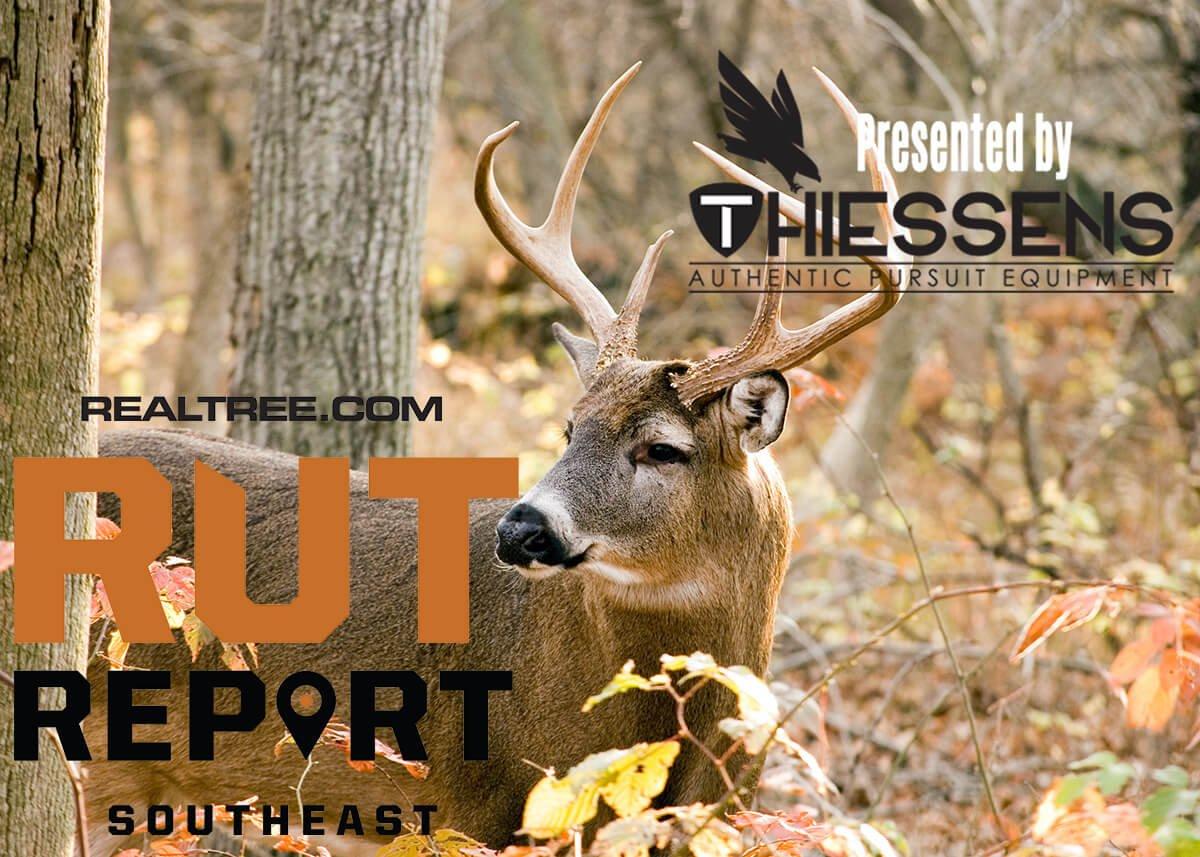 Southeast Rut Report PostRut for Some, RedHot Action for Others