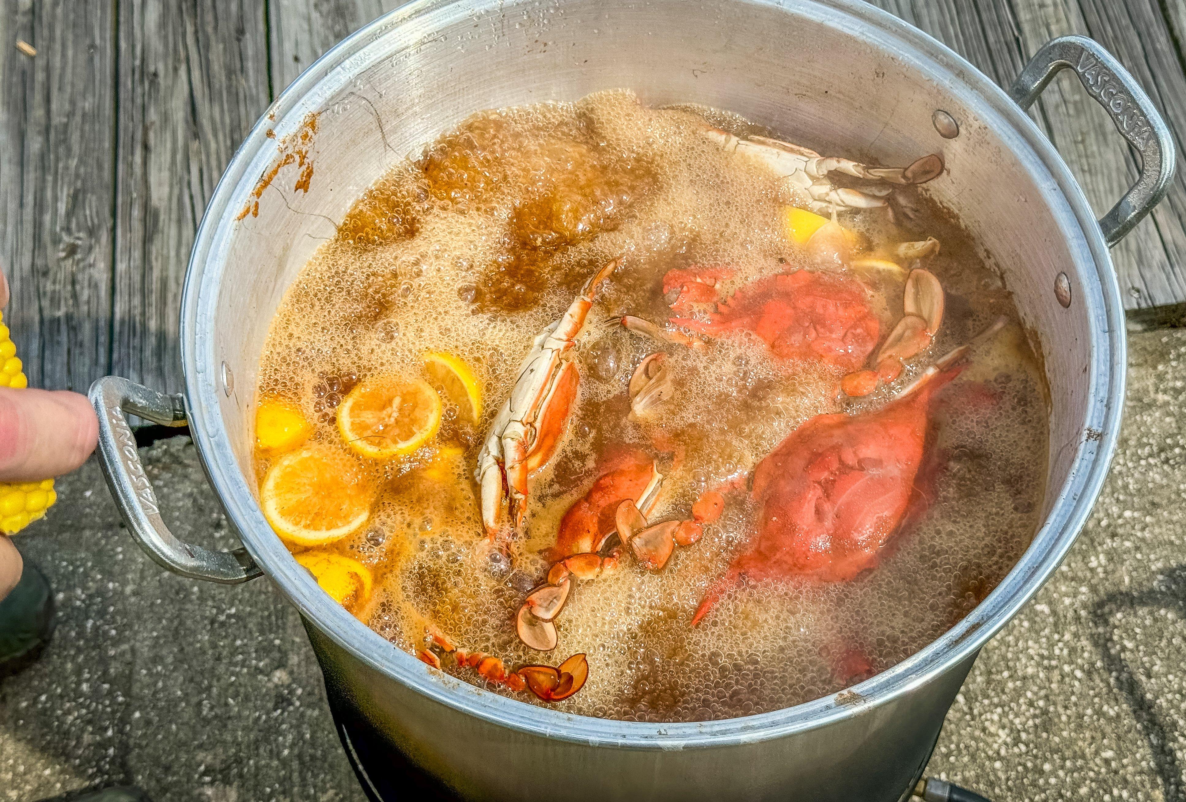 LouisianaStyle Blue Crab and Shrimp Boil Realtree Camo