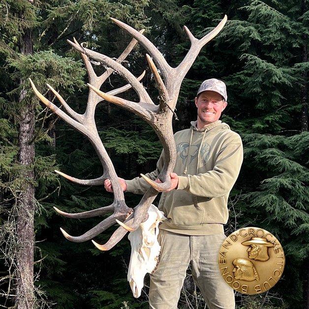 Boone and Crockett Club Confirms New World Record Roosevelt Elk