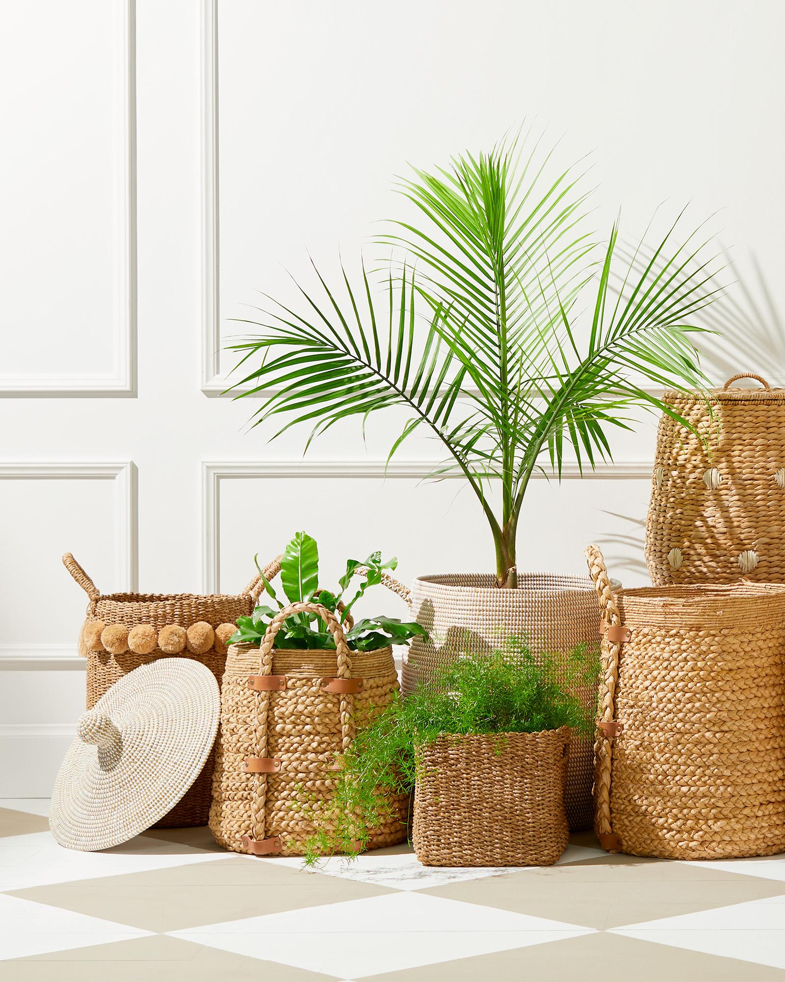 La Jolla Basket Serena and Lily