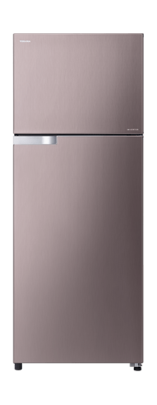 Toshiba 18 Cft. Top Freezer Refrigerator (GRT565UBZ) Reddish Gold